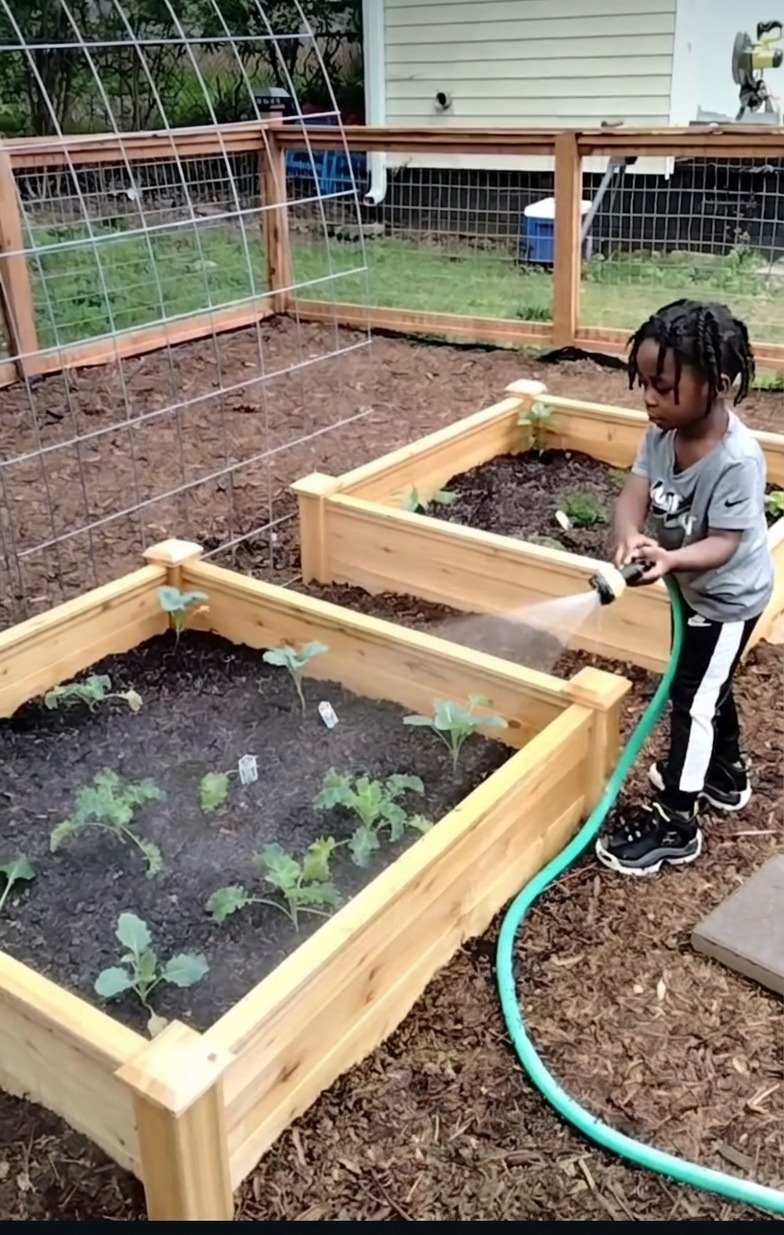 Young gardener watering raised beds in a Bridging the Gap Learning Center community garden